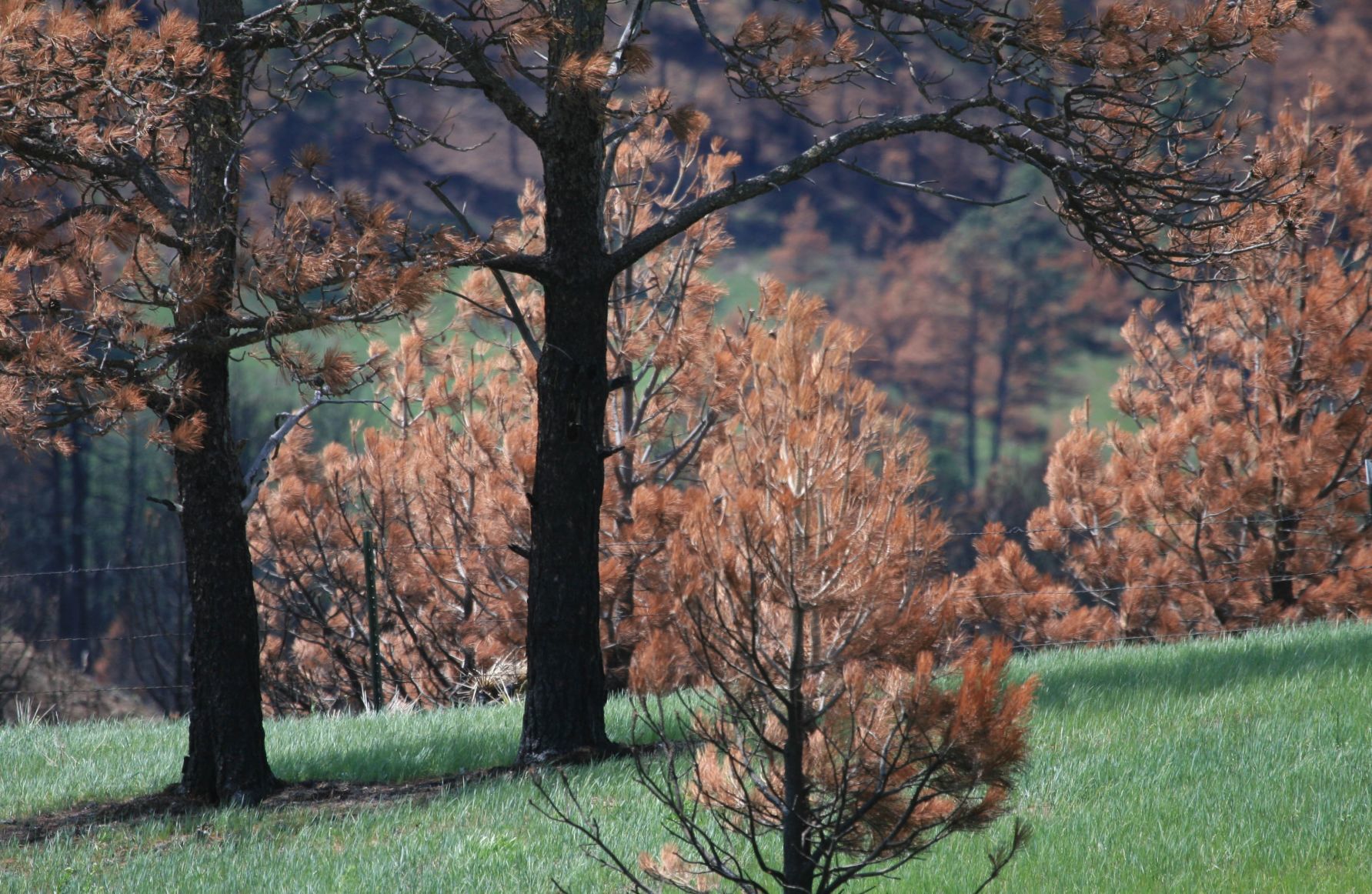 Chadron State Park
